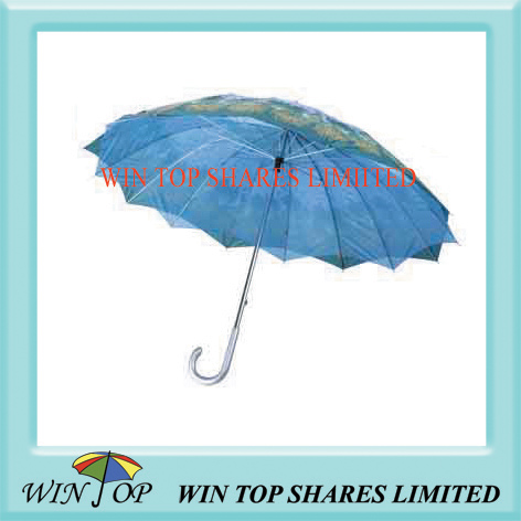 23" double canopy umbrella